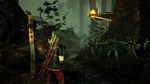 Witcher2-3