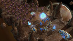 Starcraft-222