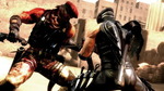 Ninjagaiden3--1315813036147606