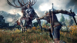 The-witcher-3-wild-hunt-1371189532323767