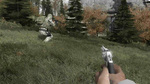 Dayz-mod_screen1