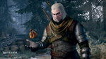 The-witcher-3-wild-hunt-1422252805460209