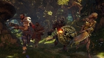 Fable-legends-1425024350392263