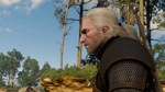 The-witcher-3-wild-hunt-1427090949720919