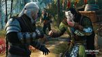 The-witcher-3-wild-hunt-1428995430178466