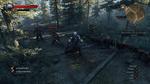 The-witcher-3-wild-hunt-1430555921396814