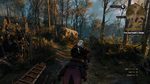 The-witcher-3-wild-hunt-1431341836644256