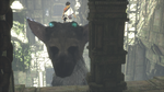 The-last-guardian-1434438934620469