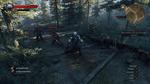 The-witcher-3-wild-hunt-1434570194644566