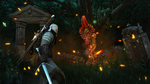 The-witcher-3-wild-hunt-1462949336280531