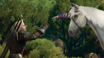 The-witcher-3-wild-hunt-1462949336280532