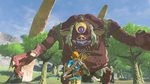 The-legend-of-zelda-breath-of-the-wild-1485897721333929