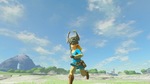 The-legend-of-zelda-breath-of-the-wild-1497869438368463