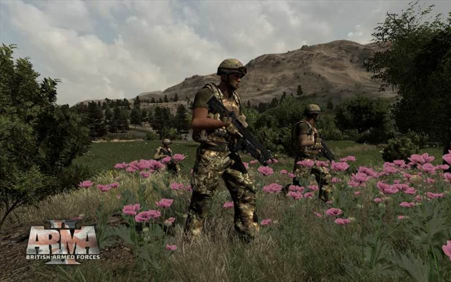 Arma-2-british-armed-forces-2