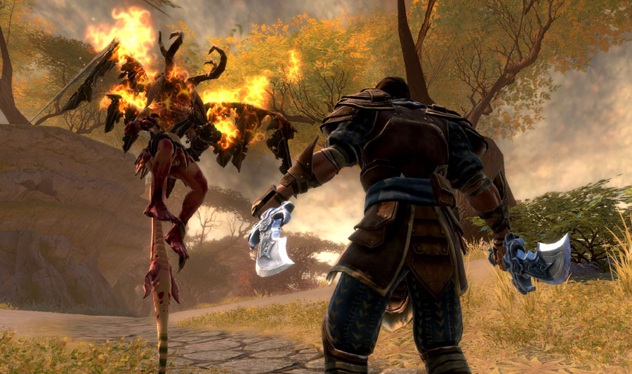 Kingdoms-of-amalur-reckoning-8