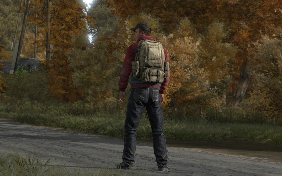 Dayz-1357666112414115