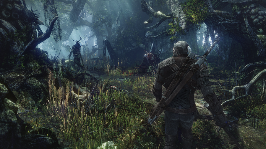 Witcher-3-wild-hunt-1374133969149778