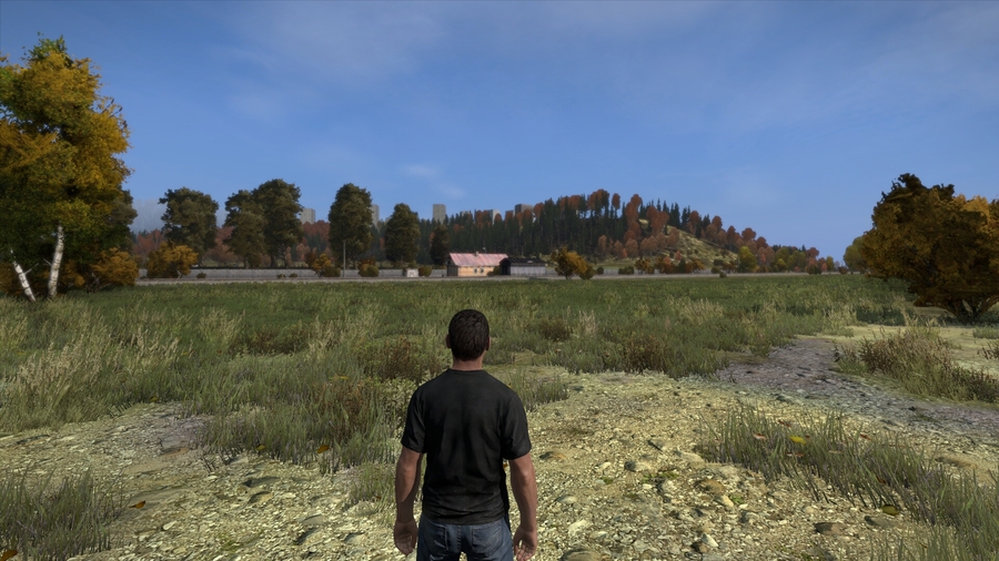 Dayz-1388084802407000