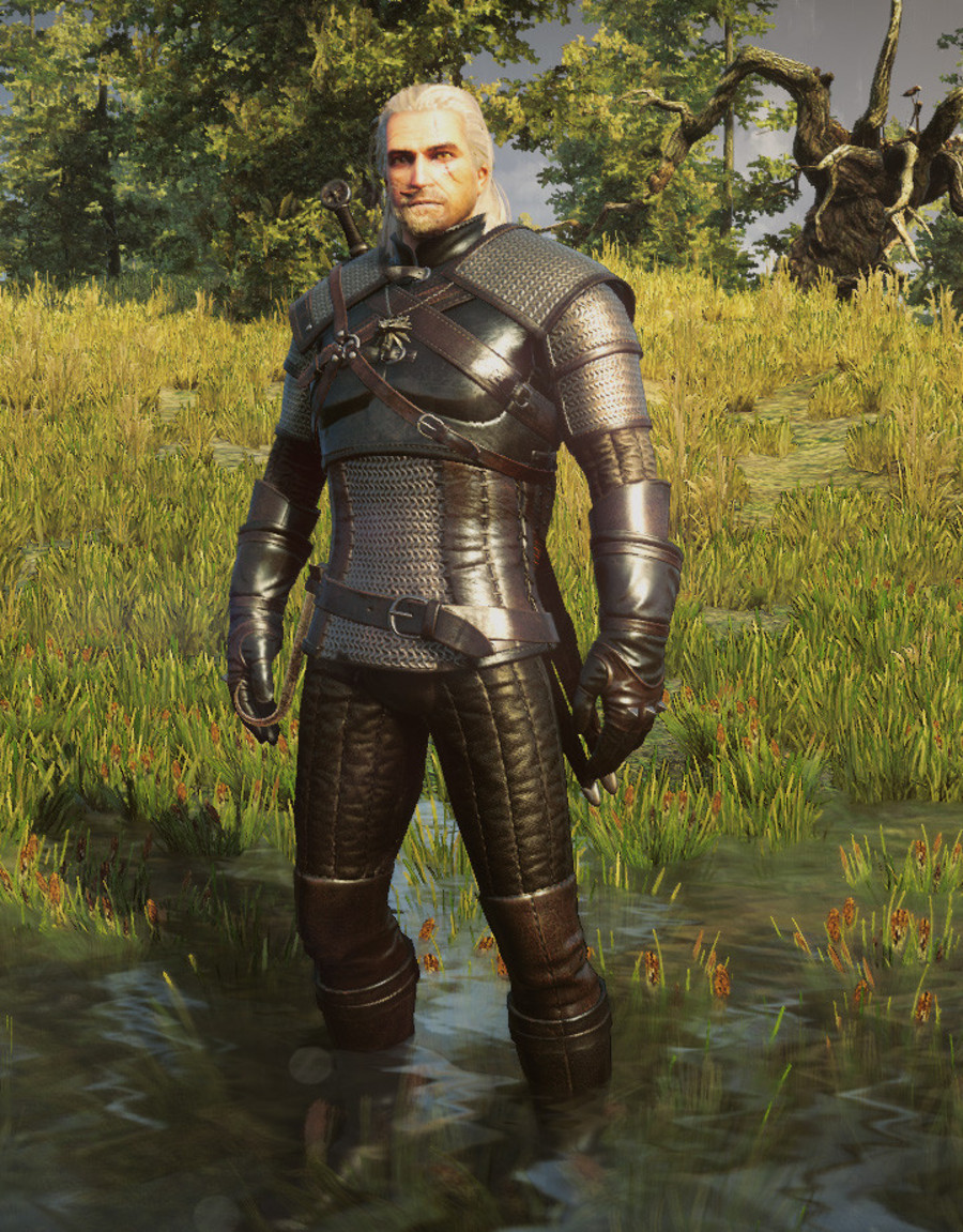 The-witcher-3-wild-hunt-14035134308241