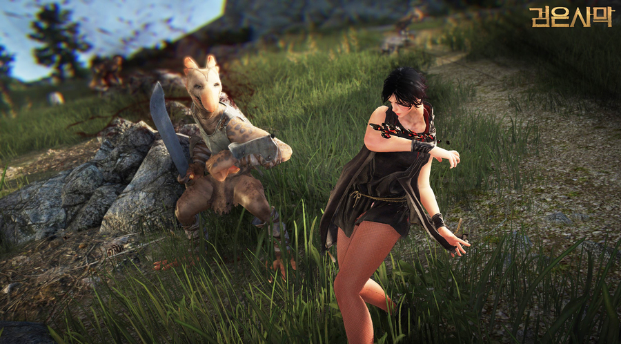 Black-desert-1409991316722799