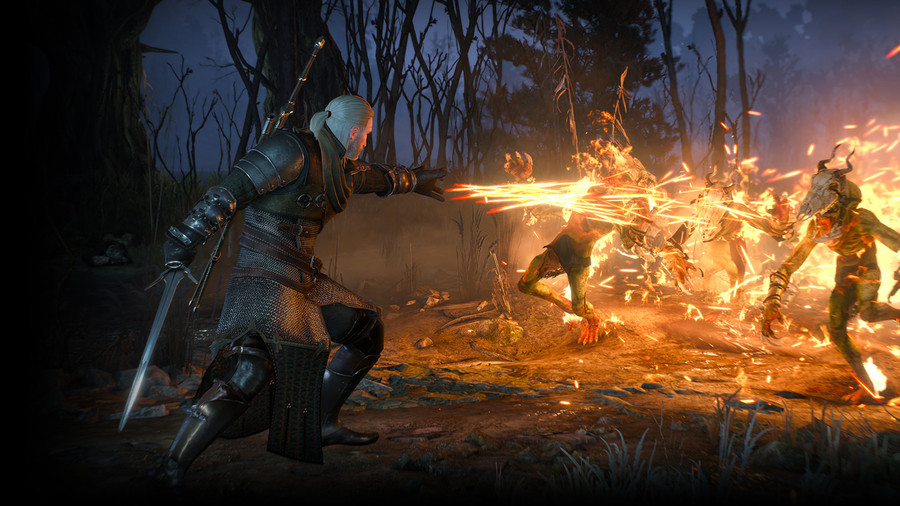 The-witcher-3-wild-hunt-1430296458634209