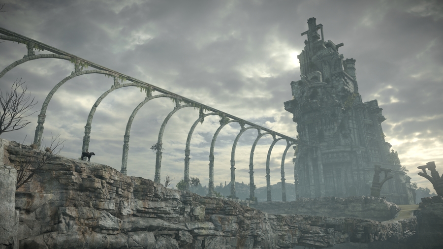 Shadow-of-the-colossus-1497536077506518