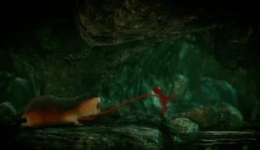 Unravel-video