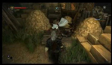 Witcher2-vid