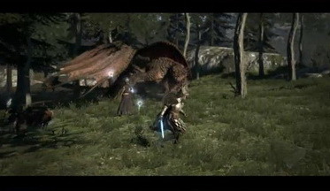 Dragons-dogma-vid