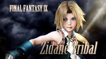 Трейлер Dissidia Final Fantasy - Zidane Tribal