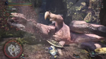 Геймплей Monster Hunter: World - охота на Anjanath